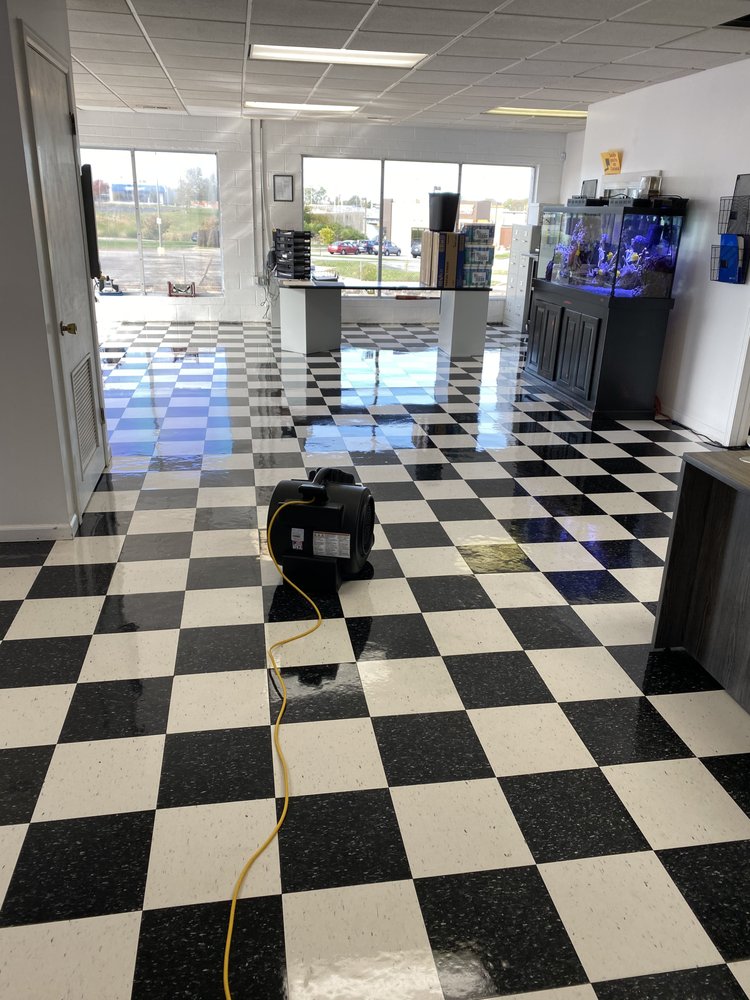 PARADISE CLEANING Request a Quote 23 Photos Home Cleaning