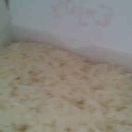 this is one of there simple foods white rice