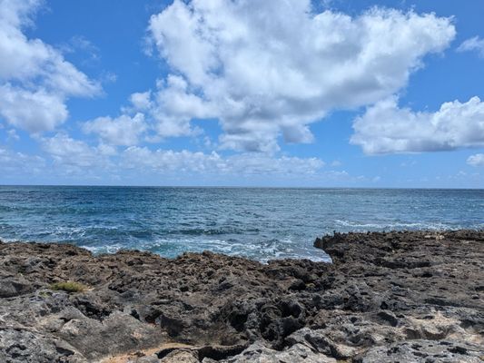 Kailua Beach Adventures by null