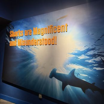 Georgia Aquarium - Aquariums Near Me - Atlanta, Georgia Georgia Aquarium - Aquariums Near Me - Atlanta, Georgia