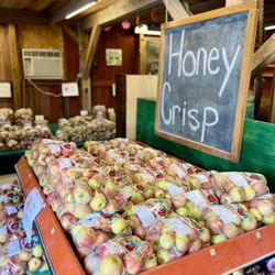 Fresh Honey Crisp apples