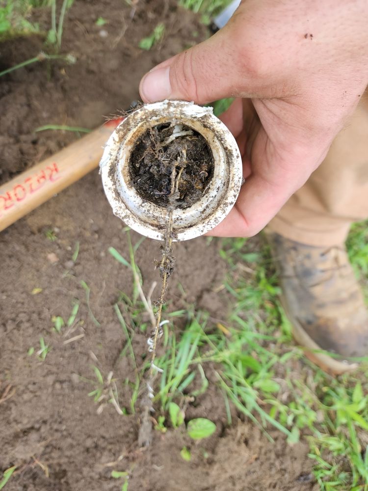 Slide of Pipe Dreams Sewer & Drain