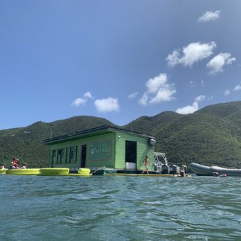 Lime Out - Lime Out VI Floating Taco Bar, Coral Bay, St John Island, Virgin Islands - Mexican Near Me - Saint John, Virgin Islands Lime Out - Lime Out VI Floating Taco Bar, Coral Bay, St John Island, Virgin Islands - Mexican Near Me - Saint John, Virgin Islands