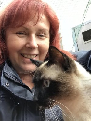 Fun times with the kitties - I love spending time with your pets! Call now for available dates.