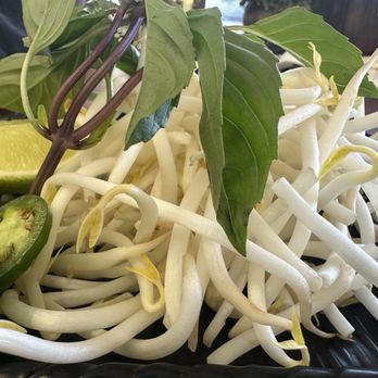 Pho-licious - Fresh bean sprouts - Vietnamese Near Me - Victorville, California