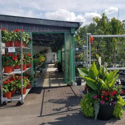Sutton Fruit Market - Garden centre