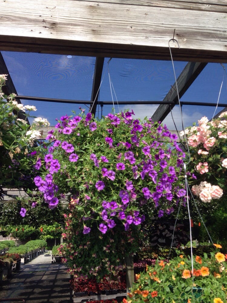 REILLY ROAD FARMERS MARKET Updated October 2024 24 Photos & 17 Reviews 445 N Reilly Rd