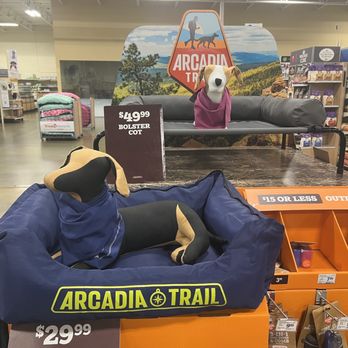 PetSmart Dog Training - Comfortable sleeping pads... - Pet Training Near Me - Pasadena, California PetSmart Dog Training - Comfortable sleeping pads... - Pet Training Near Me - Pasadena, California