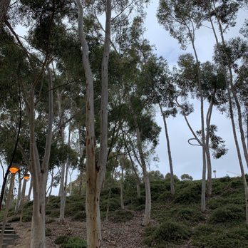 TreeScapes - Tree Services Near Me