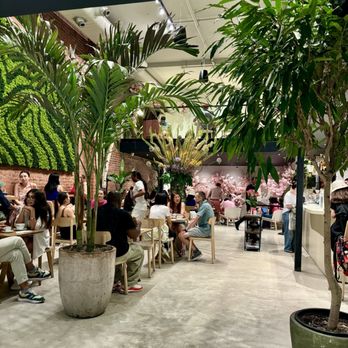 Aritzia - Cafe - Women's Clothing Near Me - New York, New York