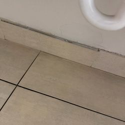 Holiday Inn Express & Suites Milton East I-10 - Mold!!!! Tile coming off wall
