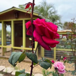 Orange County Great Park Farm + Food Lab