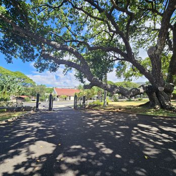 Mauna ‘Ala Royal Mausoleum State Monument - Entrance and exit gate. We were told they've tried to chop this tree down a few times, but it keeps growing back. So now it's a fixture. - Landmarks & Historical Buildings Near Me - Honolulu, Hawaii