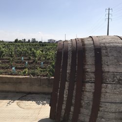 Cabrita Wines