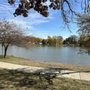 Photo of Richmond Hills Park
