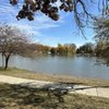 Richmond Hills Park gift card