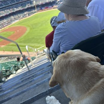 Truist Park - Eyeballing this lady's hot dog - Stadiums & Arenas Near Me - Atlanta, Georgia