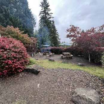 Tree to Tree Adventure Park - Amusement Parks Near Me - Gaston, Oregon