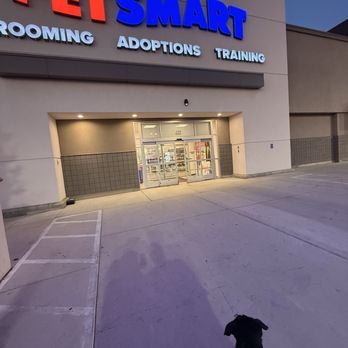 PetSmart Dog Training - Pet Groomers Near Me - Banning, California PetSmart Dog Training - Pet Groomers Near Me - Banning, California