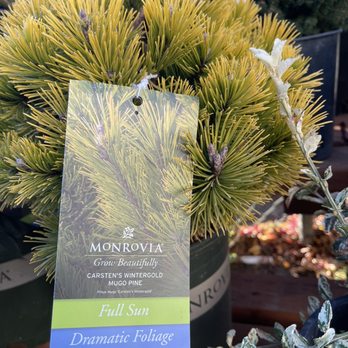 7 Dees - Nurseries & Gardening Near Me - Portland, Oregon