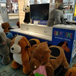 Happy Times - Electric pet rentals you can ride