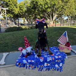 Maxwell Dog Park - Shoutout to the cute lady that takes free pictures of our doggys for whatever the szn is ! My dog loves this dog park