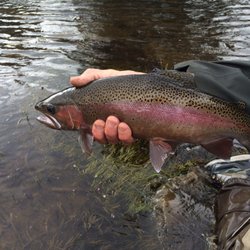 Lost River Outfitters