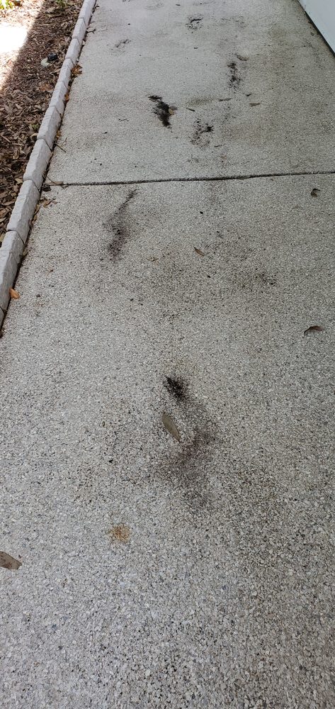 Slide of BAY TO BAY EXTERIOR CLEANERS