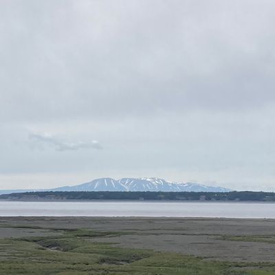 Tony Knowles Coastal Trail by null