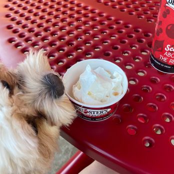 Bruster's Real Ice Cream - Desserts Near Me - Pittsburgh, Pennsylvania