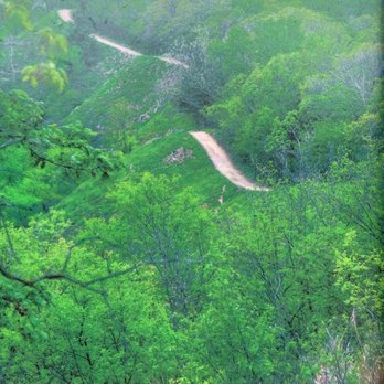 Waubonsie State Park - One of the trails, maybe Ridge Trail - Parks Near Me - Hamburg, Iowa Waubonsie State Park - One of the trails, maybe Ridge Trail - Parks Near Me - Hamburg, Iowa