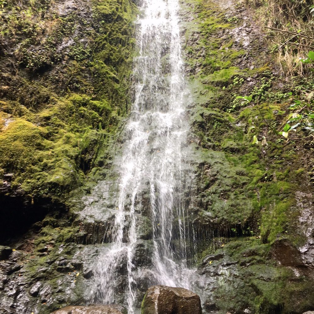 Lulumahu Falls - Hiking Near Me - Honolulu, Hawaii