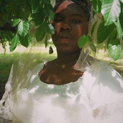Healing Holness  - Shakera Holness - Energetic Birthworker & Reiki Practitioner