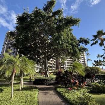 Kaanapali Alii - Hotels Near Me - Lahaina, Hawaii