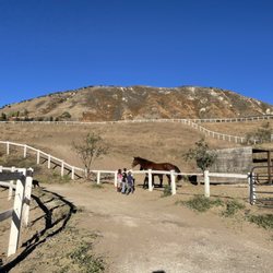 Four Oaks Farm - I love the open roaming my children get to experience on the ranch.