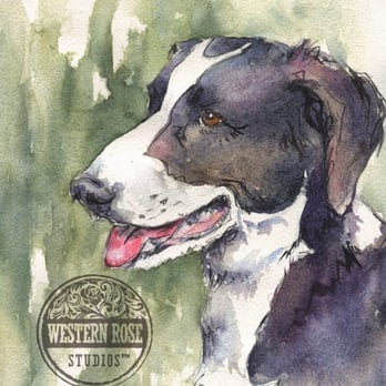 Western Rose Studios - "Sadie" an 8" X 10" commissioned sketchy style watercolor painting for Christiane (review 1/27/16). - Session Photography Near Me Western Rose Studios - "Sadie" an 8" X 10" commissioned sketchy style watercolor painting for Christiane (review 1/27/16). - Session Photography Near Me