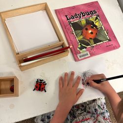 Discovery Montessori - Ladybug Writing Activity