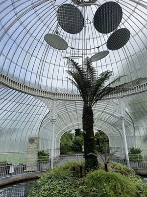 Glasgow Botanic Gardens by null