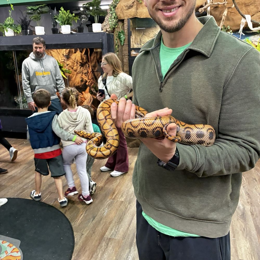 The Reptile Room - Reptile Shops Near Me - Ballwin, Missouri The Reptile Room - Reptile Shops Near Me - Ballwin, Missouri