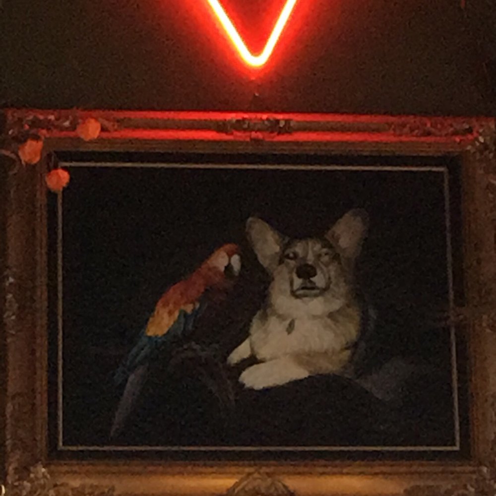 Captain Dan's Good Time Tavern - On trend with corgis - Bars Near Me - Brooklyn, New York Captain Dan's Good Time Tavern - On trend with corgis - Bars Near Me - Brooklyn, New York