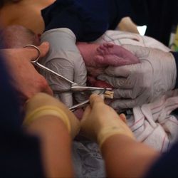 Kate Elizabeth Photography - Cutting the umbilical cord.