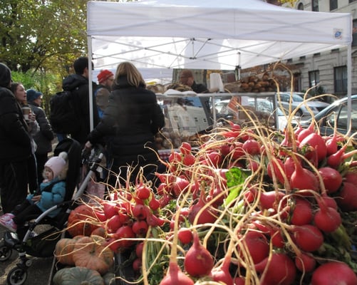 Down to Earth McGolrick Park Farmers Market by null