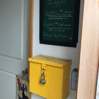 Door Karma Farms - Egg prices - Pick Your Own Farms Near Me - Baileys Harbor, Wisconsin