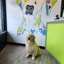 Woofward Ave Dog Grooming