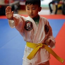 Troy Martial Arts