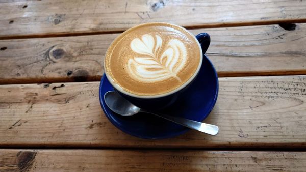 The Clue-less Goat by null