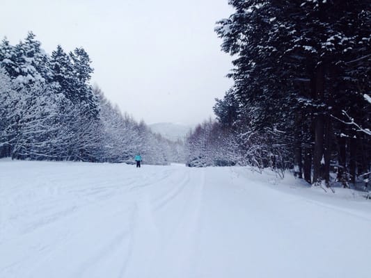 Appi Kogen Ski Resort by null