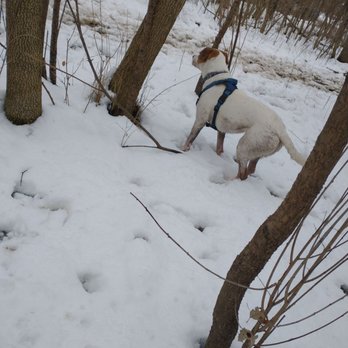 Warnimont Dog Park - Dog Parks Near Me - Cudahy, Wisconsin Warnimont Dog Park - Dog Parks Near Me - Cudahy, Wisconsin