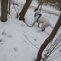 Warnimont Dog Park