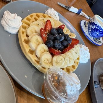 CFS Coffee - Yucca Waffle - Coffee & Tea Near Me - Orlando, Florida CFS Coffee - Yucca Waffle - Coffee & Tea Near Me - Orlando, Florida